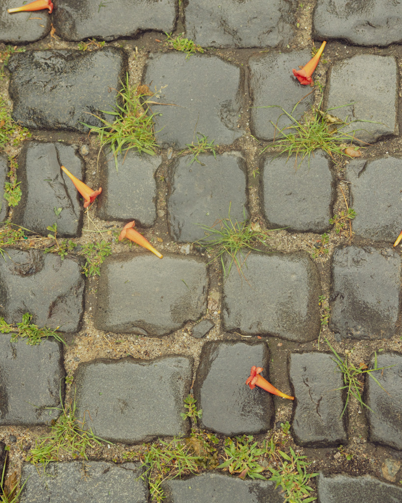 Washington Mews cobblestones